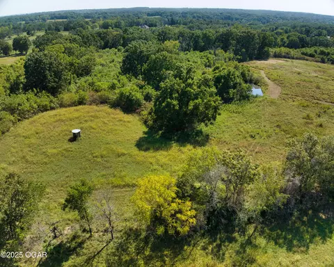 View/Area - 43 Spring Flood Road Goodman Mo 64843, Goodman, MO 64843 photo 11 of 21