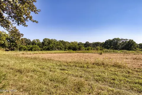 Other - 43 Spring Flood Road Goodman Mo 64843, Goodman, MO 64843 photo 69 of 73