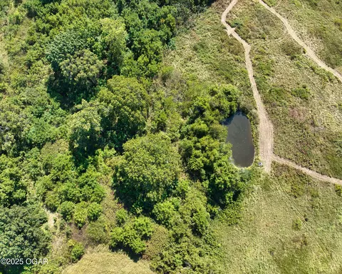 View/Area - 43 Spring Flood Road Goodman Mo 64843, Goodman, MO 64843 photo 2 of 21