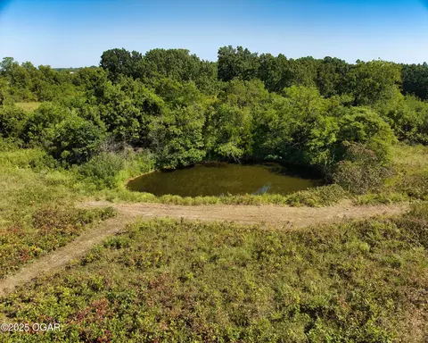 View/Area - 43 Spring Flood Road Goodman Mo 64843, Goodman, MO 64843 photo 7 of 21