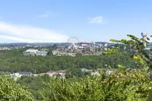 View/Area - 2962 Vineyards Parkway 2 Branson Mo 65616 Pkwy #2, Branson, MO 65616 photo 1 of 2