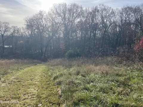 Other - 10256 Otter Drive Granby Mo 64844 Dr, Granby, MO 64844 photo 18 of 19