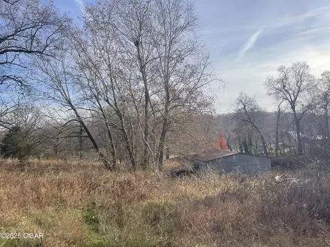 Other - 10256 Otter Drive Granby Mo 64844 Dr, Granby, MO 64844 photo 14 of 19
