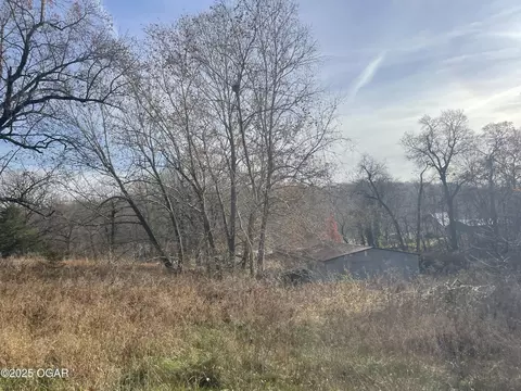 View/Area - 10256 Otter Drive Granby Mo 64844 Dr, Granby, MO 64844 photo 1 of 1