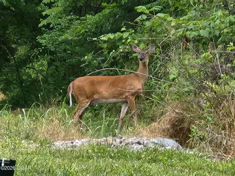 Other - 14253 Highway K Seneca Mo 64865, Seneca, MO 64865 photo 5 of 5