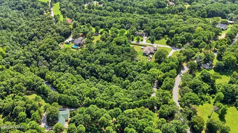 View/Area - 43 Oakridge Drive Pineville Mo 64856 Dr, Pineville, MO 64856 photo 9 of 9