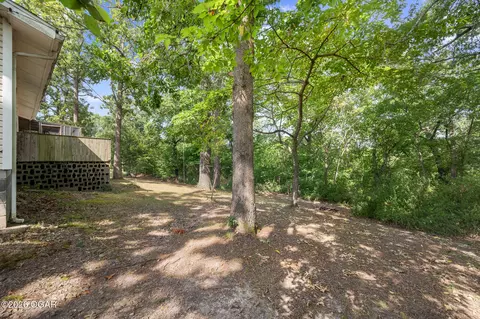 Exterior - 220 Lian Drive Seneca Mo 64865 Dr, Seneca, MO 64865 photo 4 of 6