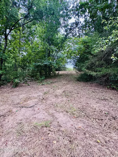 Other - 795 Anthony Road Pineville Mo 64856 Rd, Pineville, MO 64856 photo 12 of 66