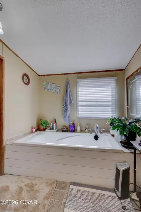 Bath - 1634 Morrison Loop Anderson Mo 64831 Loop, Anderson, MO 64831 photo 1 of 4