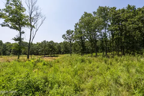 Other - 1059 NE 100th Road Sheldon Mo 64784 Rd, Sheldon, MO 64784 photo 75 of 81