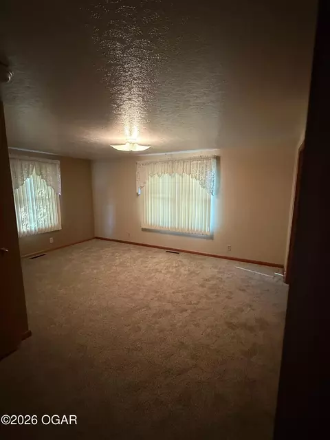 Other - 809 Irwin Street Duenweg Mo 64841 St, Duenweg, MO 64841 photo 4 of 10