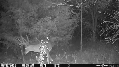 Other - 11228 State Highway 96 Carthage Mo 64836, Carthage, MO 64836 photo 16 of 17