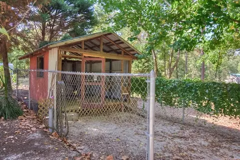 1395 Dairy Rd, Ridge Spring, SC 29129 photo 31