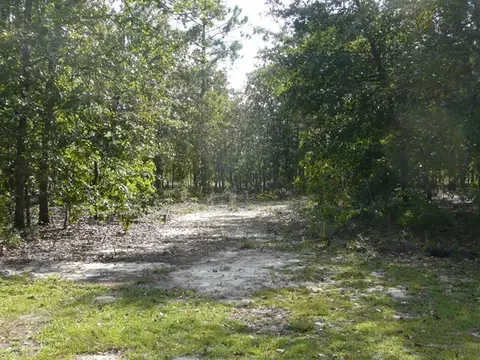 1250 Windsor Rd, Windsor, SC 29856 photo 9