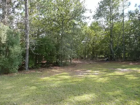 1250 Windsor Rd, Windsor, SC 29856 photo 6