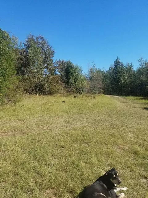 3007 Silver Bluff Rd, Aiken, SC 29803 photo 7