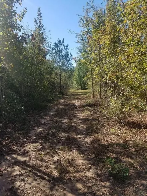 3007 Silver Bluff Rd, Aiken, SC 29803 photo 8