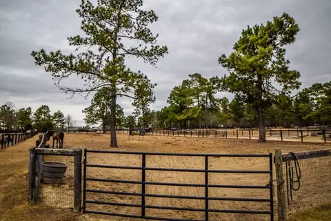215 Colbert Bridge Rd, Windsor, SC 29856 photo 5