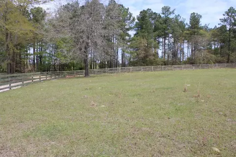 196 Paul Rd, Monetta, SC 29105 photo 8