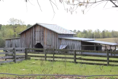 196 Paul Rd, Monetta, SC 29105 photo 3