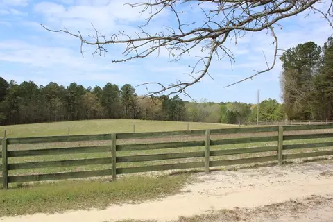 196 Paul Rd, Monetta, SC 29105 photo 5