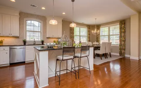 171 Pinyon Pine Loop, Aiken, SC 29803 photo 9