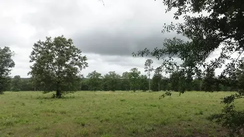 809 Colbert Bridge Rd, Windsor, SC 29856 photo 3