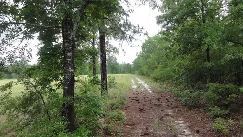 809 Colbert Bridge Rd, Windsor, SC 29856 photo 2