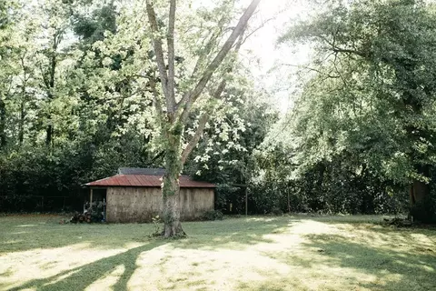 706 Aiken St, Springfield, SC 29146 photo 32