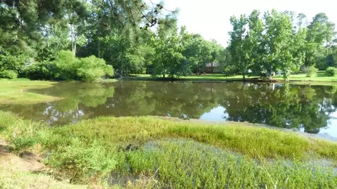 569 Lee St, Johnston, SC 29832 photo 3
