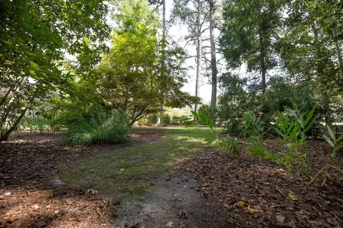480 Pine St, Bamberg, SC 29003 photo 23