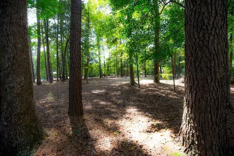 480 Pine St, Bamberg, SC 29003 photo 22