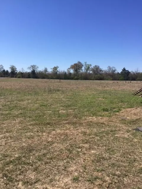2881 Piper Rd, Ridge Spring, SC 29129 photo 18