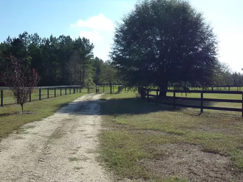 351 Windsor Rd N, Windsor, SC 29856 photo 34