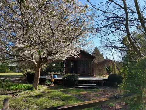 351 Windsor Rd N, Windsor, SC 29856 photo 18