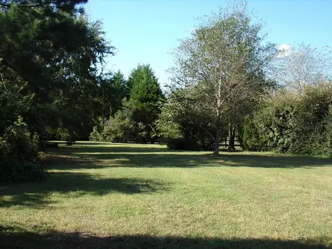 351 Windsor Rd N, Windsor, SC 29856 photo 24