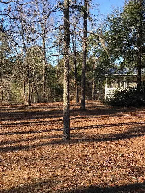 207 Daniel St, Jackson, SC 29831 photo 8