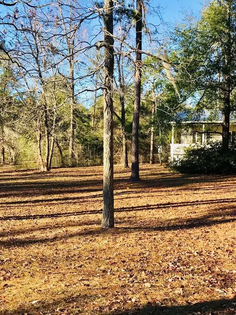 207 Daniel St, Jackson, SC 29831 photo 10