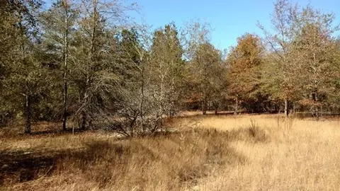 330 Long Cane Rd, Williston, SC 29853 photo 3