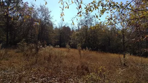 330 Long Cane Rd, Williston, SC 29853 photo 7