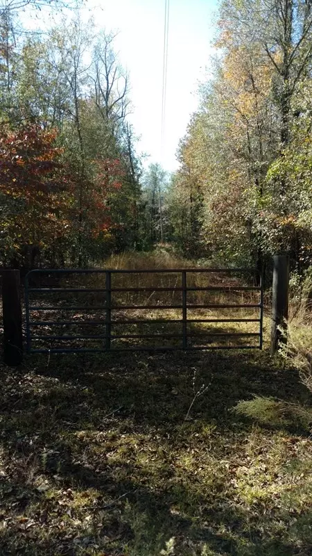330 Long Cane Rd, Williston, SC 29853 photo 6
