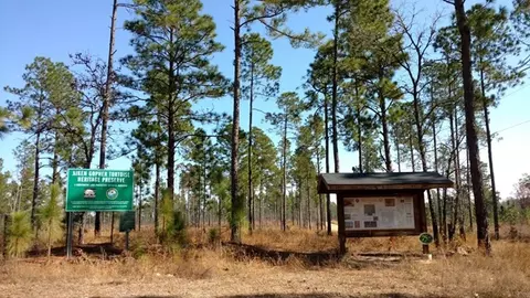 330 Long Cane Rd, Williston, SC 29853 photo 10