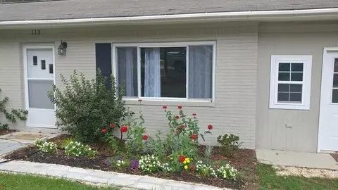 113 Williams St, Ridge Spring, SC 29129 photo 19
