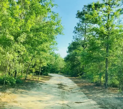 155 Leland St, Williston, SC 29853 photo 3