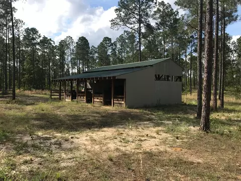 1245 122 Windsor Rd, Windsor, SC 29856 photo 2