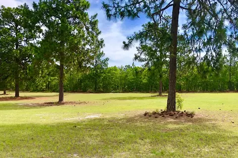 858 Windsor Rd, Windsor, SC 29856 photo 36