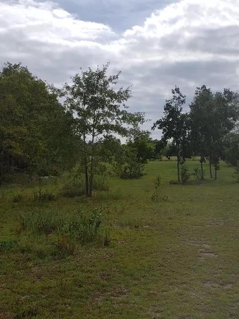 737 N Windsor Rd, Williston, SC 29853 photo 17