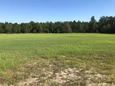 462 Colbert Bridge Rd, Windsor, SC 29856 photo 9