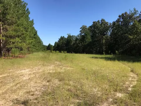 462 Colbert Bridge Rd, Windsor, SC 29856 photo 7