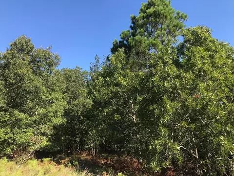 462 Colbert Bridge Rd, Windsor, SC 29856 photo 16